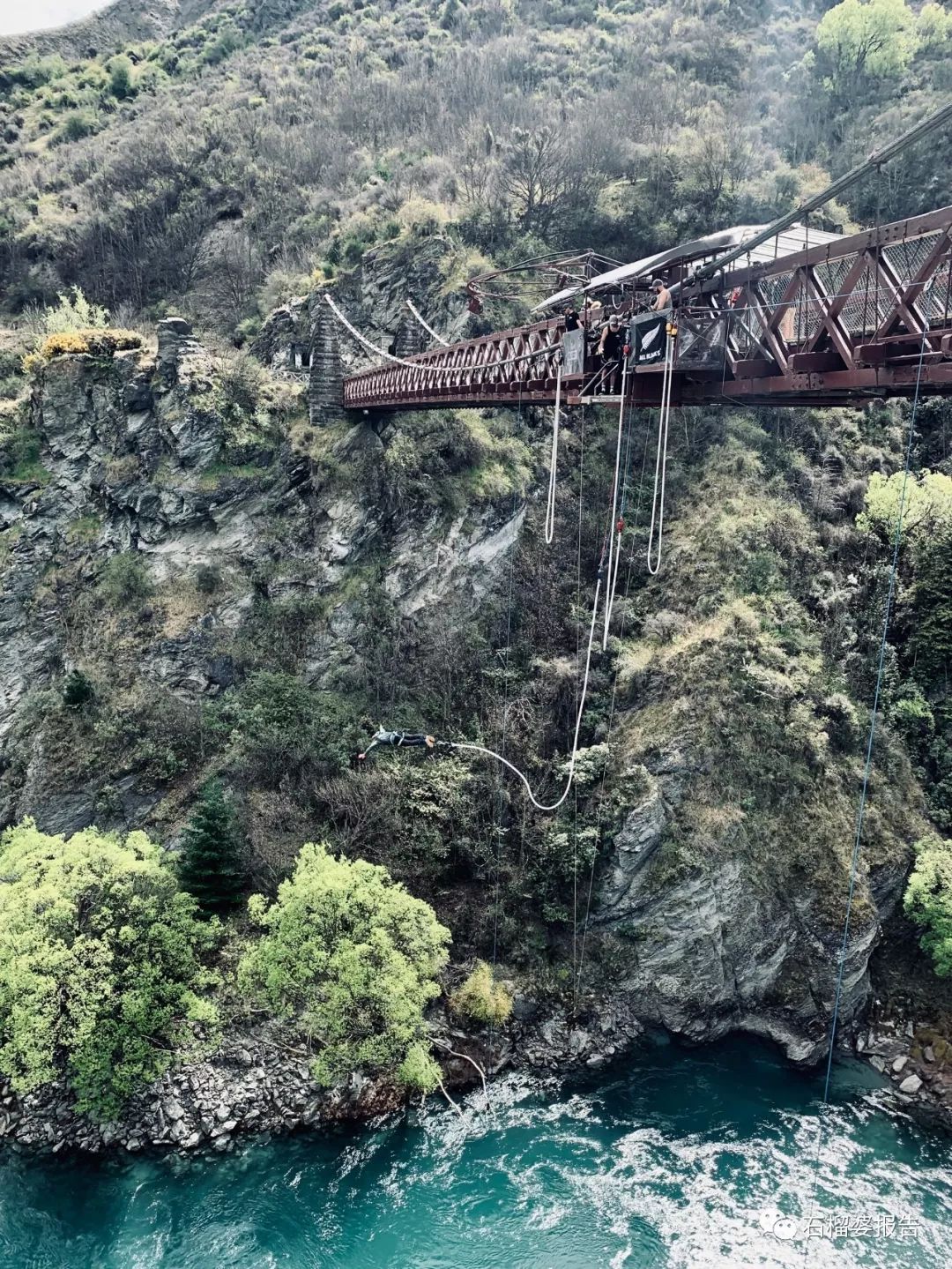 旅行7天,七天游记的视频在线观看全集高清