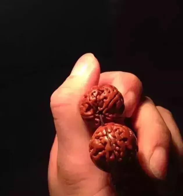 菩提手串有点生霉,菩提手串为什么会臭