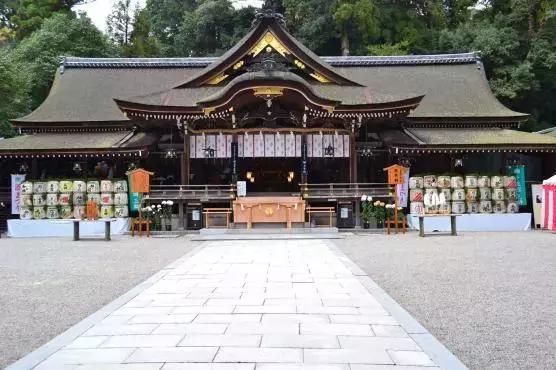 现实中的酒神,三大酒神真实的存在吗