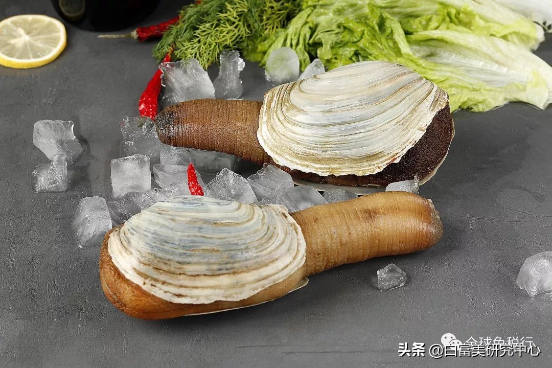 加拿大温哥华旅游穿什么,加拿大温哥华值得去的地方