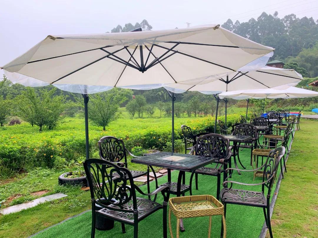 绿心公园5月3号有什么活动,绿心公园花开了好漂亮