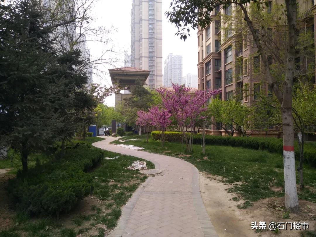 实地探访红盘交房后真实一面,解密热销红盘背后的生活理想