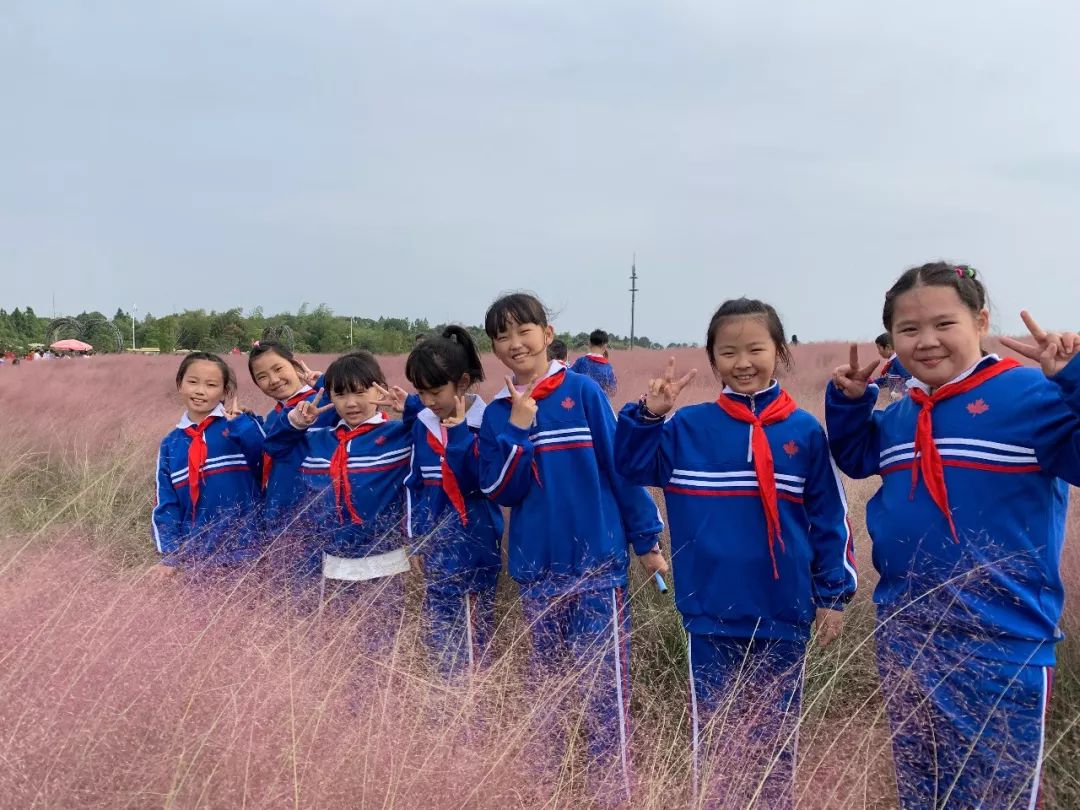 洋沙湖研学基地在哪里,洋沙湖岳阳研学