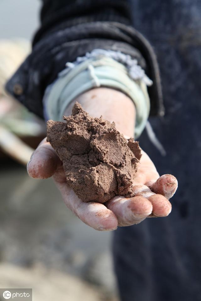 真正有效避开小杂鱼闹窝的方法,如何有效避开小杂鱼闹窝