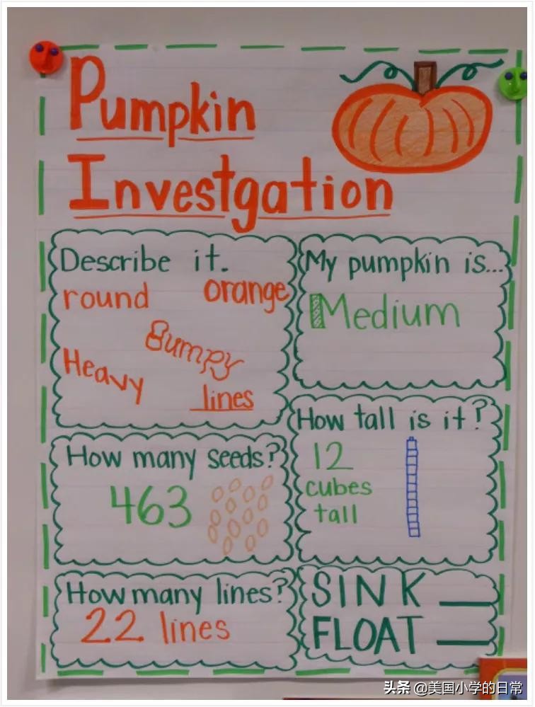 一个南瓜引发的学习激情，为何让美国孩子如此着迷？