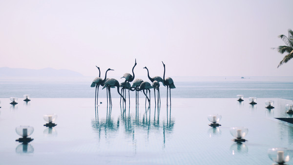 茂名浪漫海岸旅游度假区攻略,茂名浪漫海岸旅游度假区视频