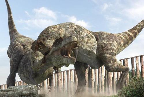 七个超奇葩的冷知识大全,这些奇葩冷知识每个都和你有关