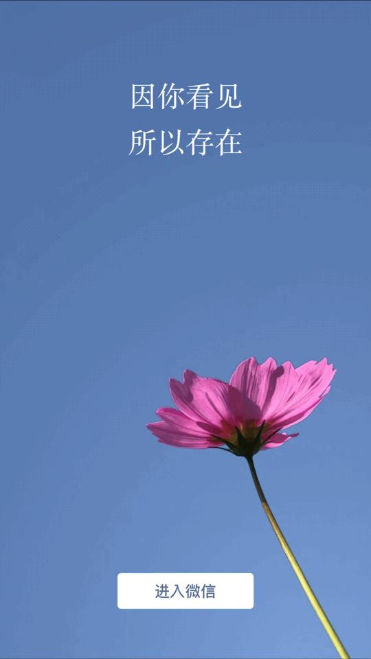 微信最新版本8.06表情为啥不显示,微信8.0新增表情有哪些