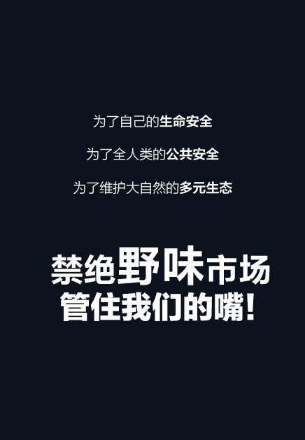 支持禁燃烟花爆竹吗,全面禁止野味