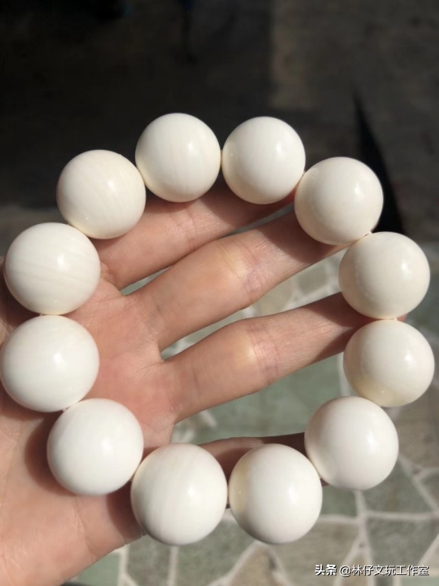 真假金丝砗磲对比照片,紫光灯照白砗磲的真假鉴别