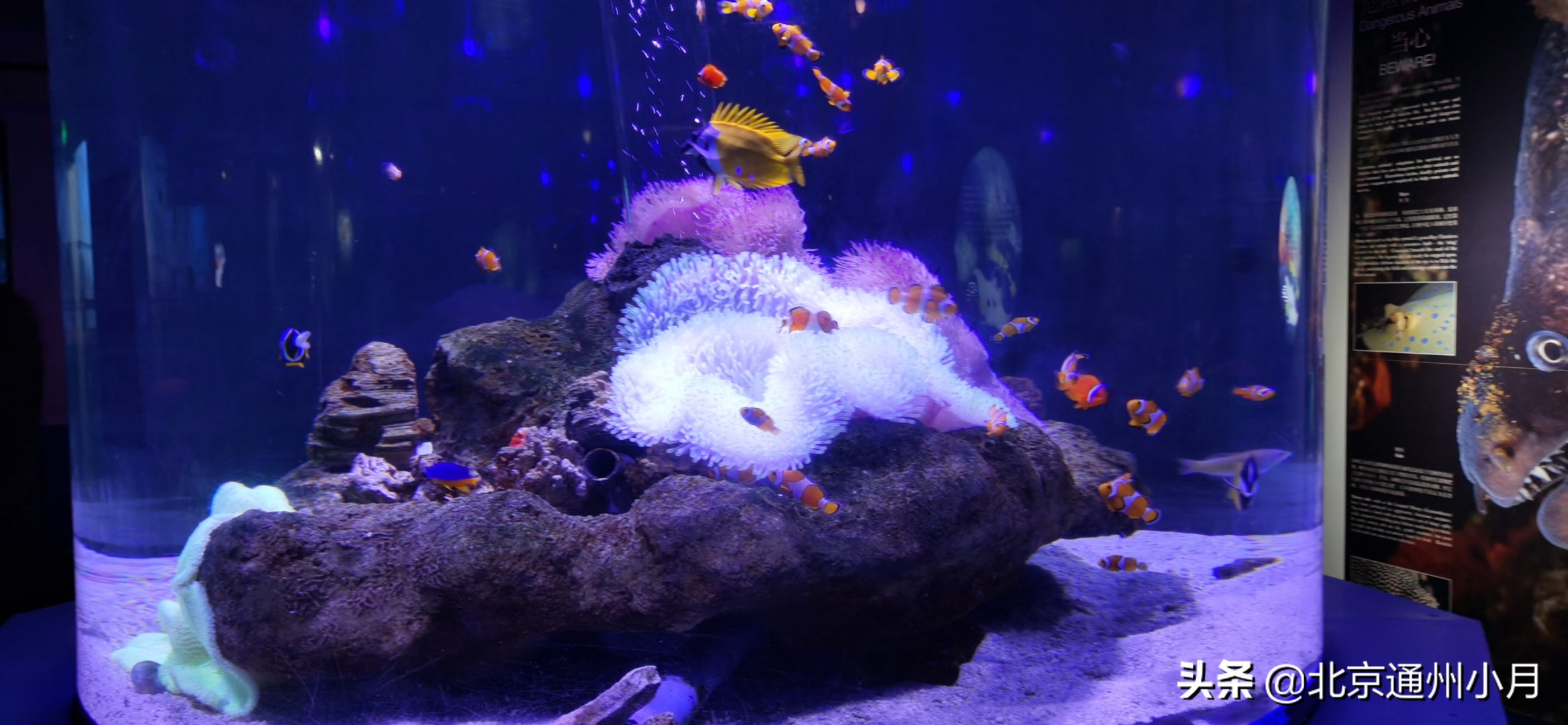 北京海底世界游览时间表,北京海底世界值得玩