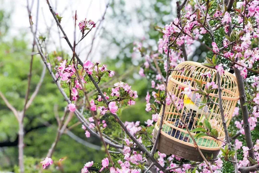 北京京郊避暑纳凉的好去处,北京十渡风景区旅游攻略