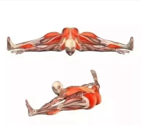 坐角式瑜伽的正确练习方法,瑜伽坐角式怎么练