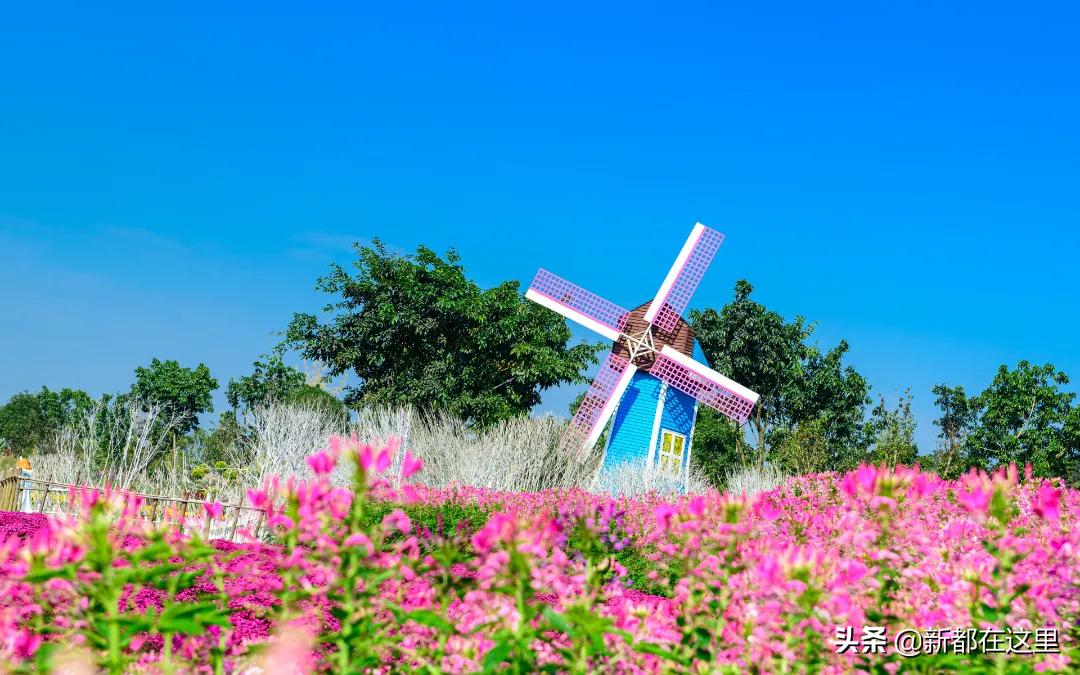 新都生活体验,来昆明感受向往的生活