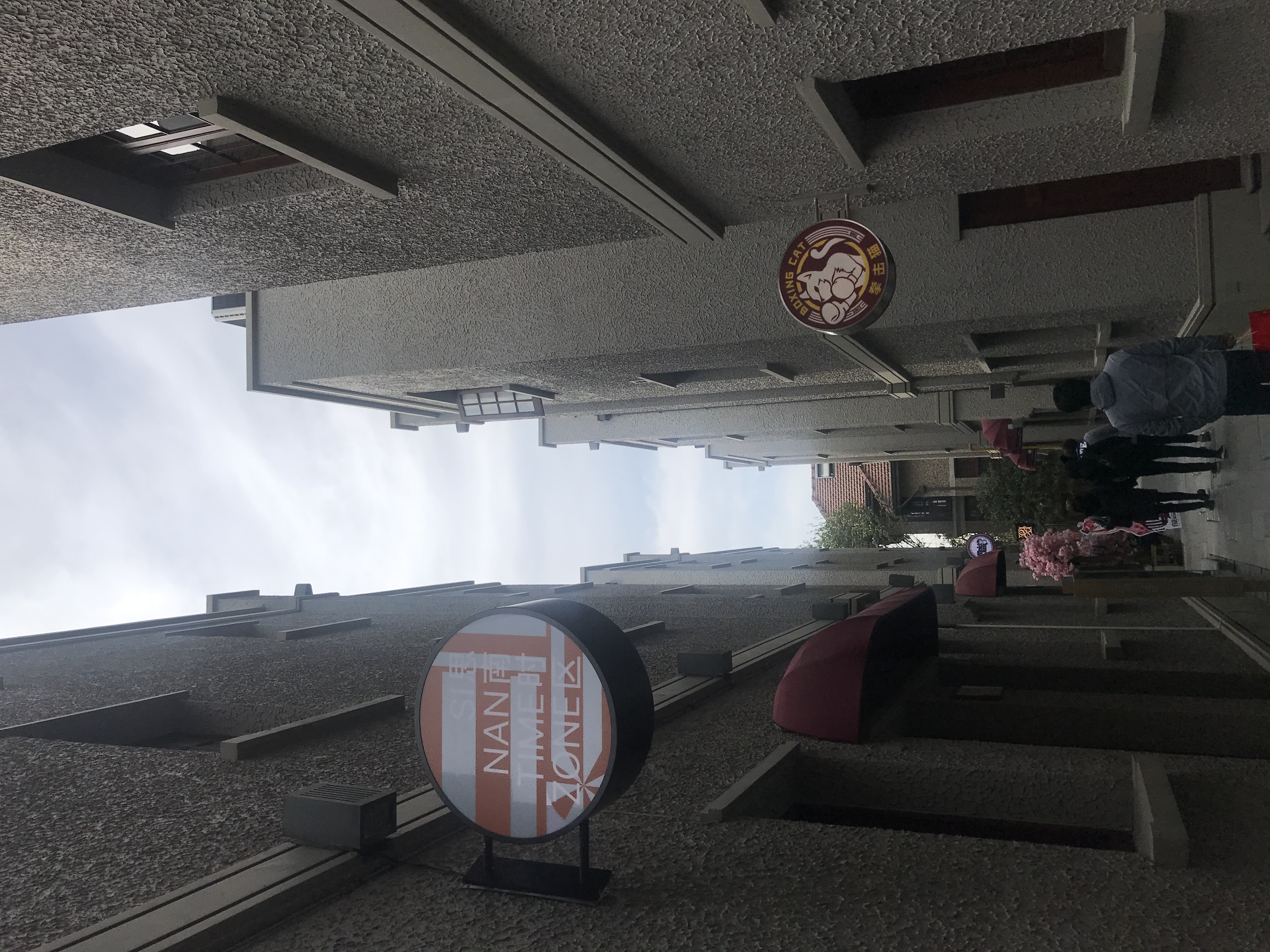 上海的春天视频,上海的春天美景