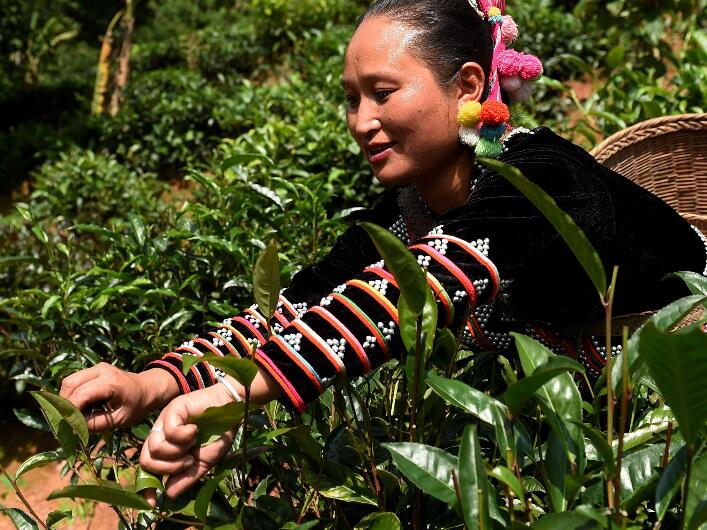 拼多多被商家污蔑怎么办,拼多多被人恶评怎么办