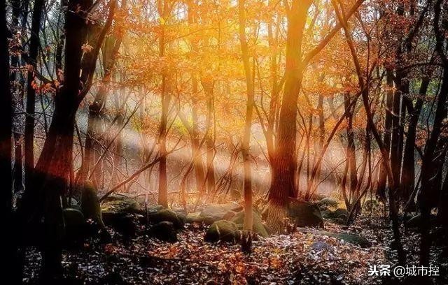 江苏最值得去的十个旅游地方,一到十二月江苏省小众旅游