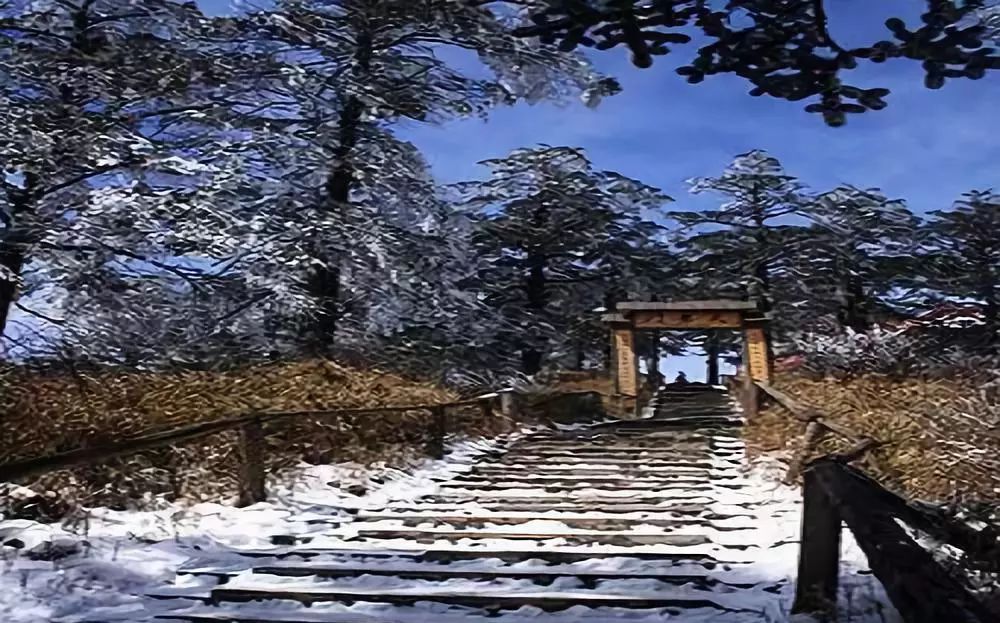 漫步成都街头的文案,漫步成都