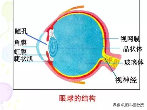 飞蚊症是什么原因引起的怎么治好,高度近视引起的飞蚊症可以治疗吗