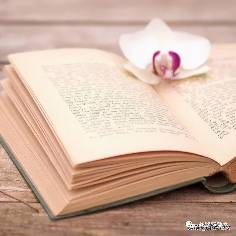 《风过窄门》，几股风合在一起，奏出一曲美妙的天籁之音