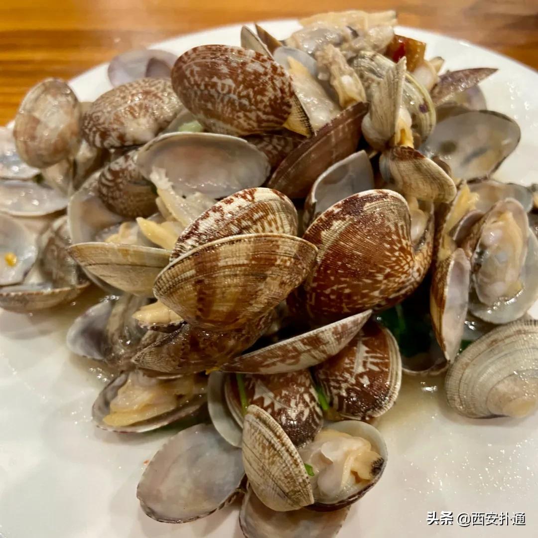 青岛烟台威海玩海攻略,青岛威海烟台大连环线旅游攻略