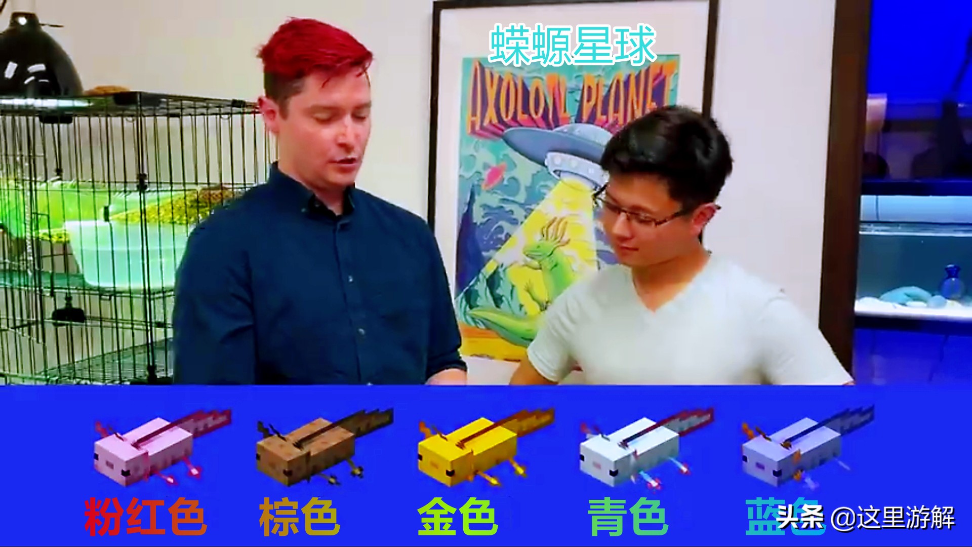 我的世界蝾螈在水里消失了,我的世界真实的蝾螈模组