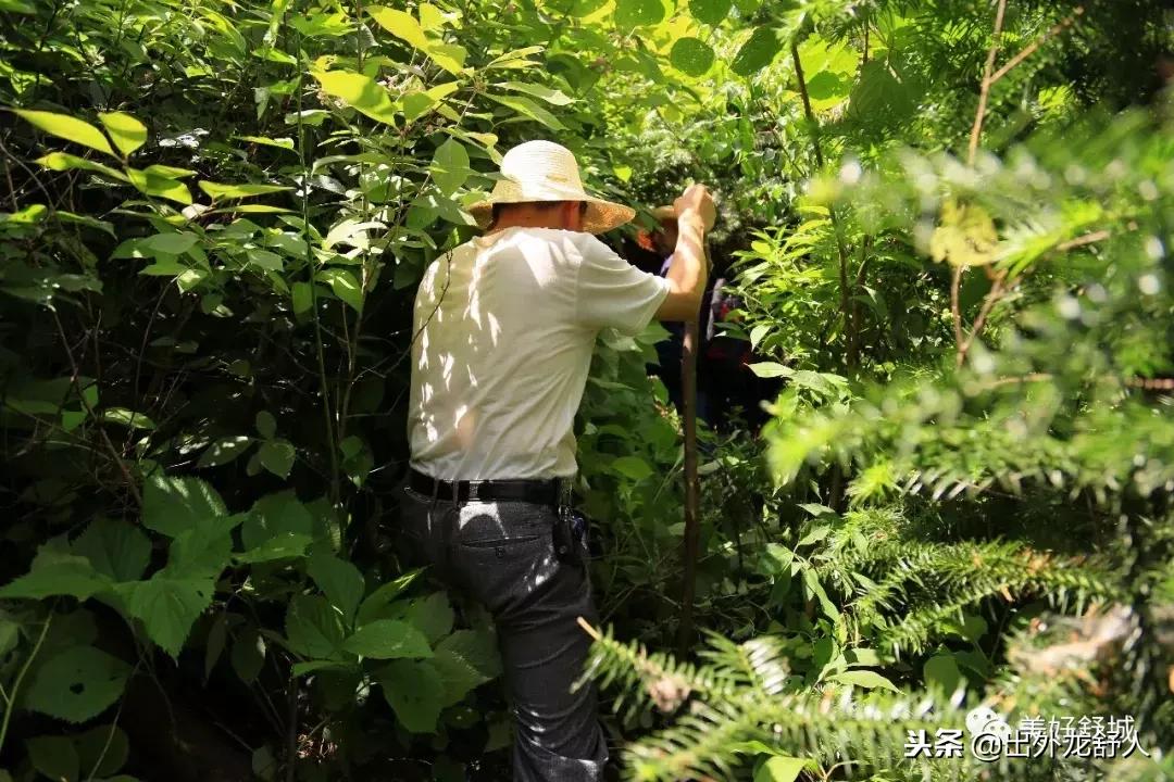 舒城县五显镇石关风景区,舒城石关风景游玩攻略