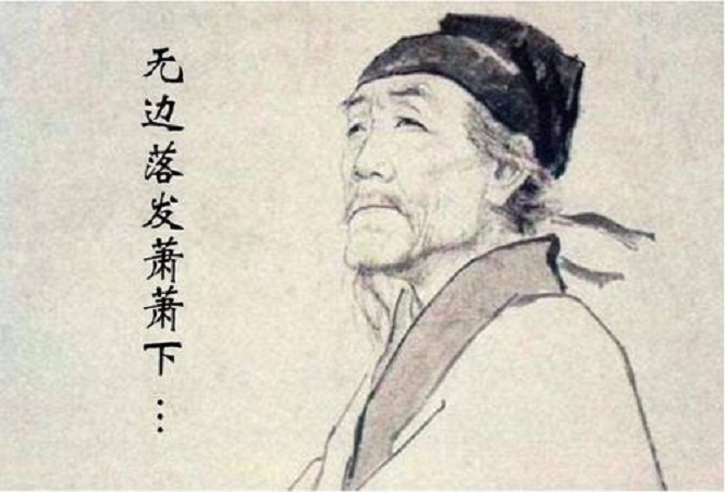 我变强了也变秃了图片,我变强了也变秃了什么意思