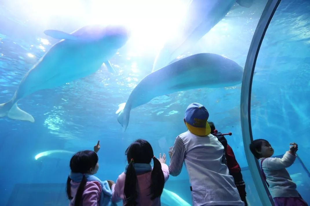 陈仁科首讲文旅小镇,陈仁科商业模式