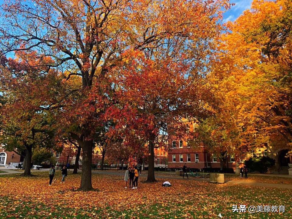 华盛顿与李大学为什么这么好?