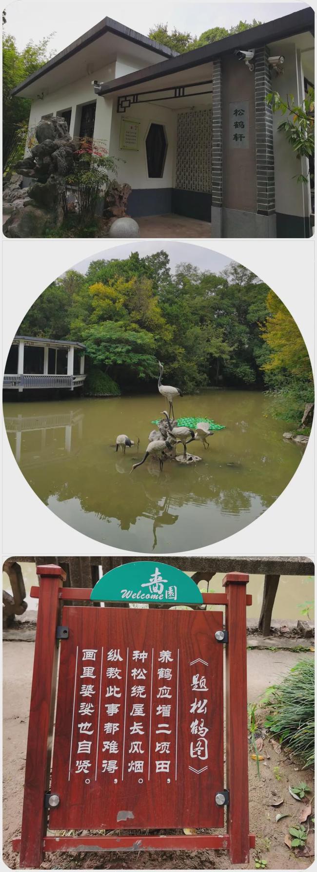 放飞的周末时光,放飞自我的周末时光