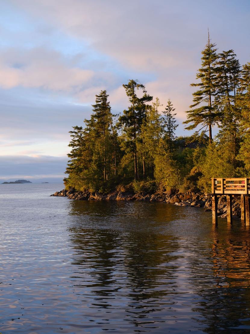旅居生活攻略,旅居生活最适合的城市