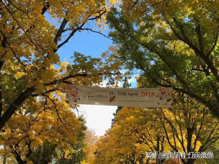 十大在家最挣钱的工作,去做什么工作才是最赚钱的