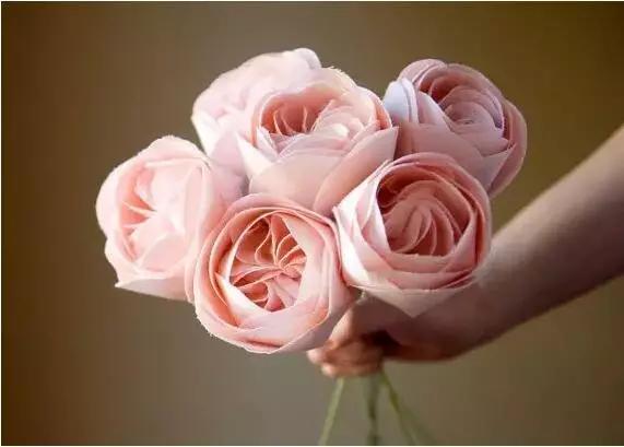 中国十大名贵稀有植物物种,全身是宝的名贵植物有哪些