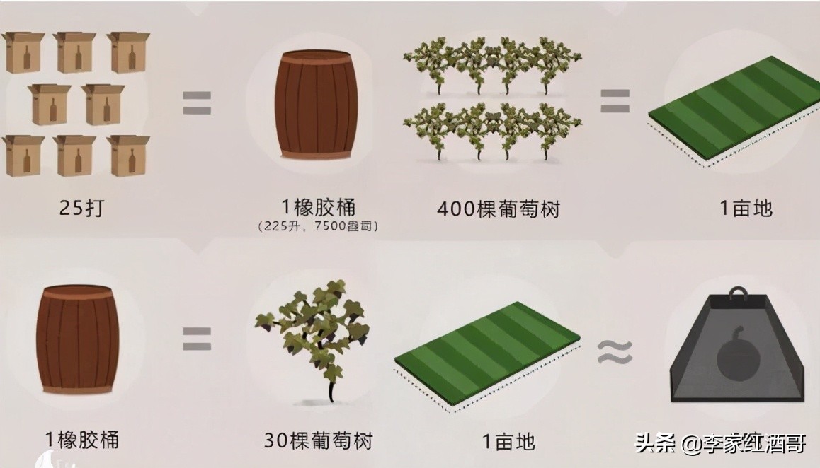 50种有趣的葡萄酒,整理了15条葡萄酒小知识