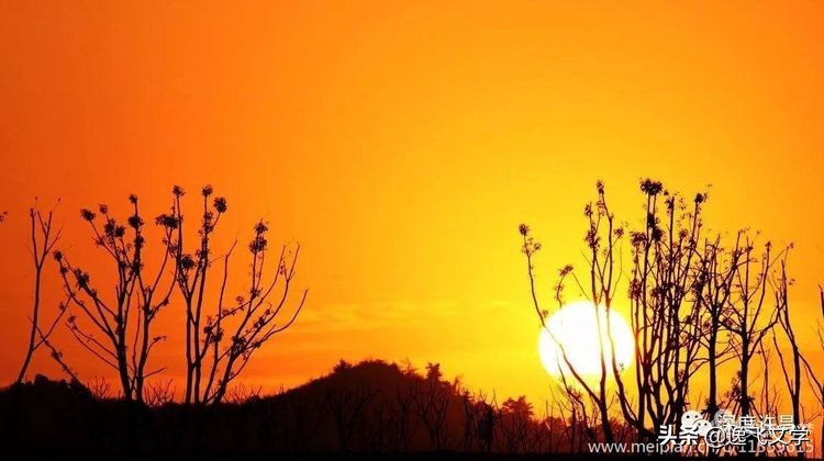 【原创.古韵新声】纤陌畔,小桥东。清溪流水逐残红