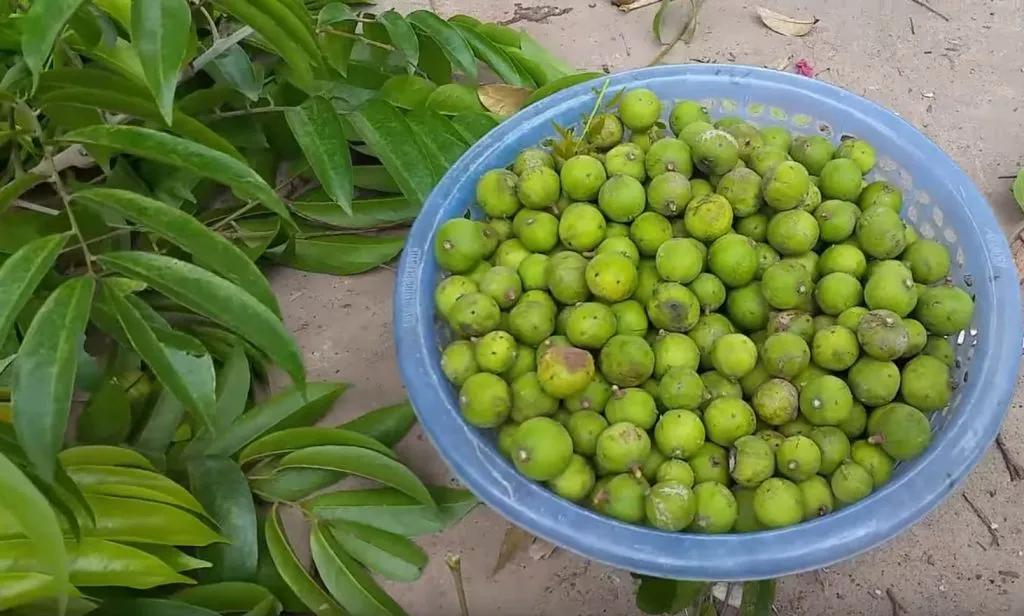 <html>
<head><title>502BadGateway</title></head>
<body>
<center><h1>502BadGateway</h1></center>
<hr><center>nginx</center>
</body>
</html>
<!--apaddingtodisableMSIEandChromefriendlyerrorpage-->
<!--apaddingtodisableMSIEandChromefriendlyerrorpage-->
<!--apaddingtodisableMSIEandChromefriendlyerrorpage-->
<!--apaddingtodisableMSIEandChromefriendlyerrorpage-->
<!--apaddingtodisableMSIEandChromefriendlyerrorpage-->
<!--apaddingtodisableMSIEandChromefriendlyerrorpage-->
