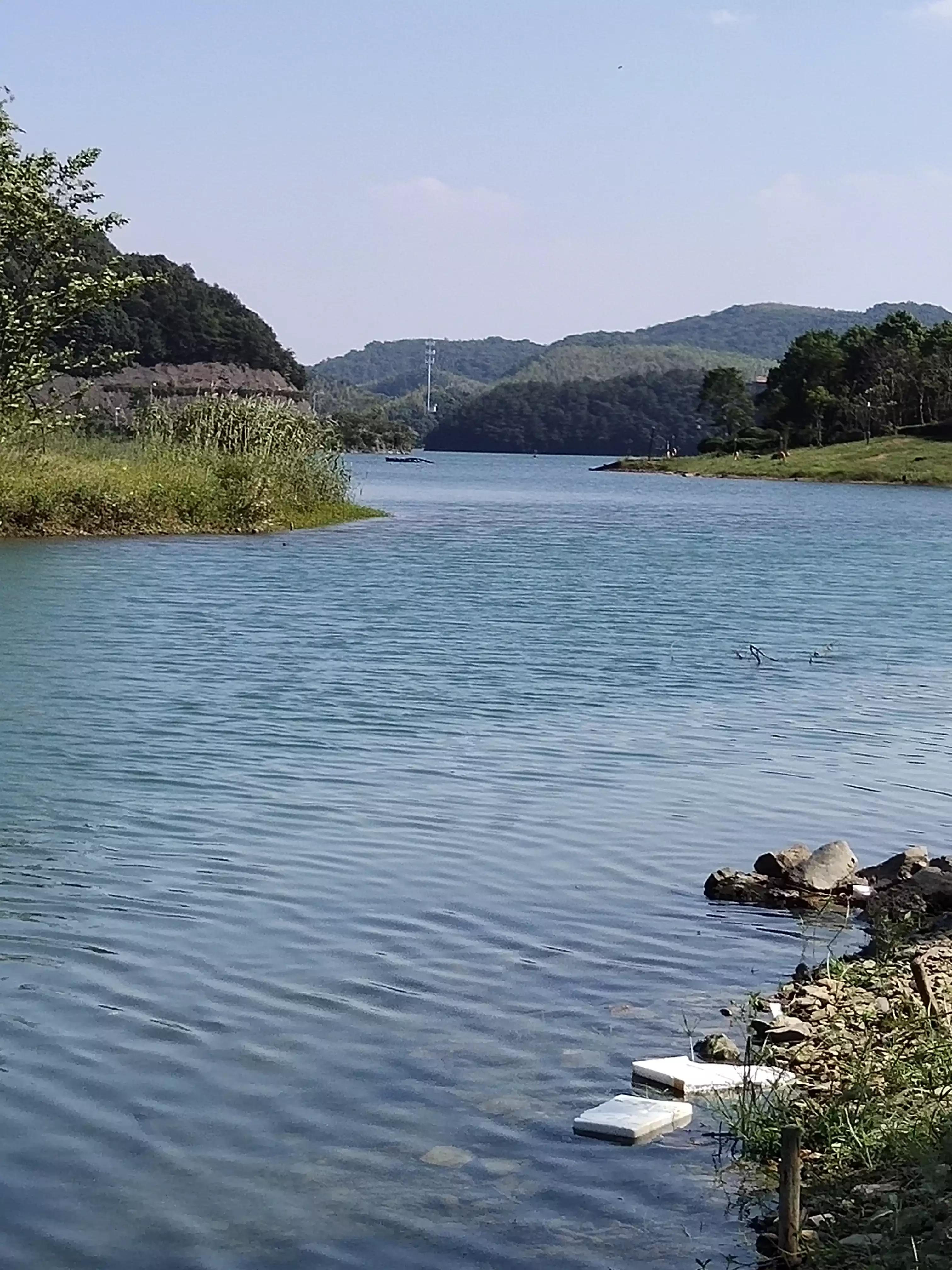秋季宁波钓鱼,秋钓深潭