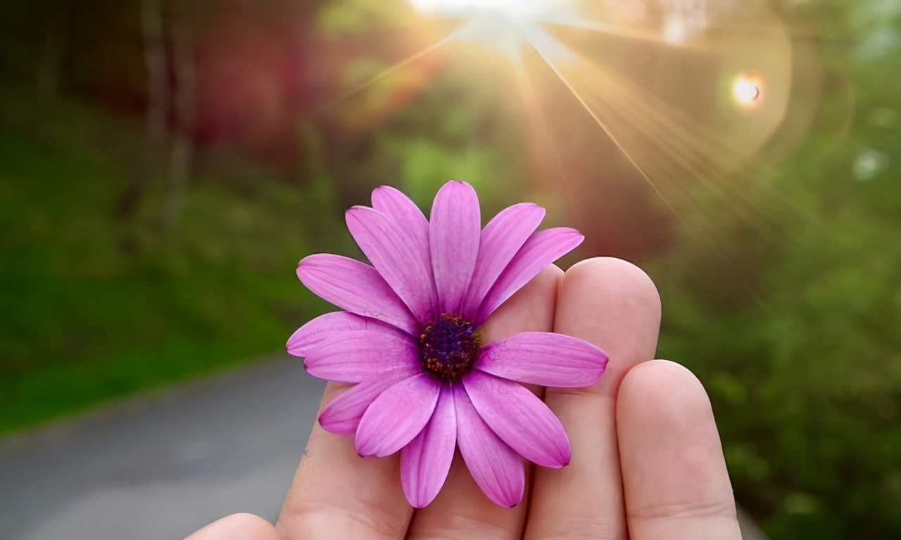 迷茫的时候就多去这几个地方,不想努力的时候去这几个地方看看