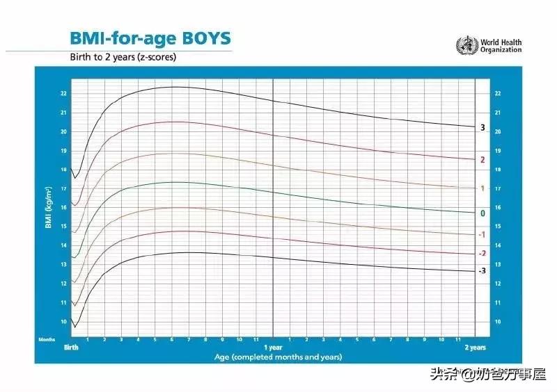 孩子肥胖营养师,营养师如何给孩子补充营养