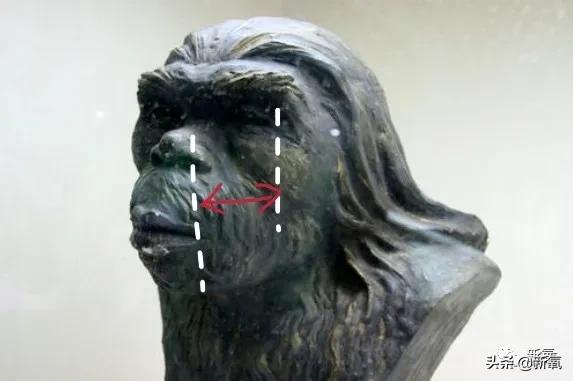 1米8大长腿，抿嘴笑爆红被吹顶级神颜，没想到竟然是照骗...