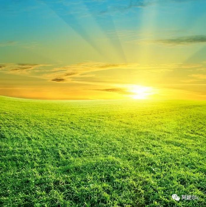 想去的地方是草原歌词,想去的地方是草原唱谱