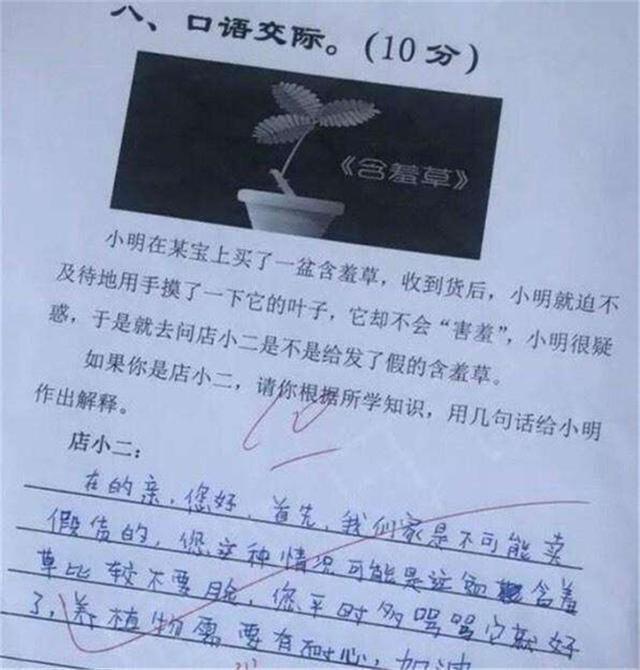 儿童脑回路真清奇,小学生那些清奇的脑回路