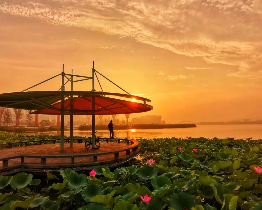 「第1期」2020年大美社群优秀作品回顾