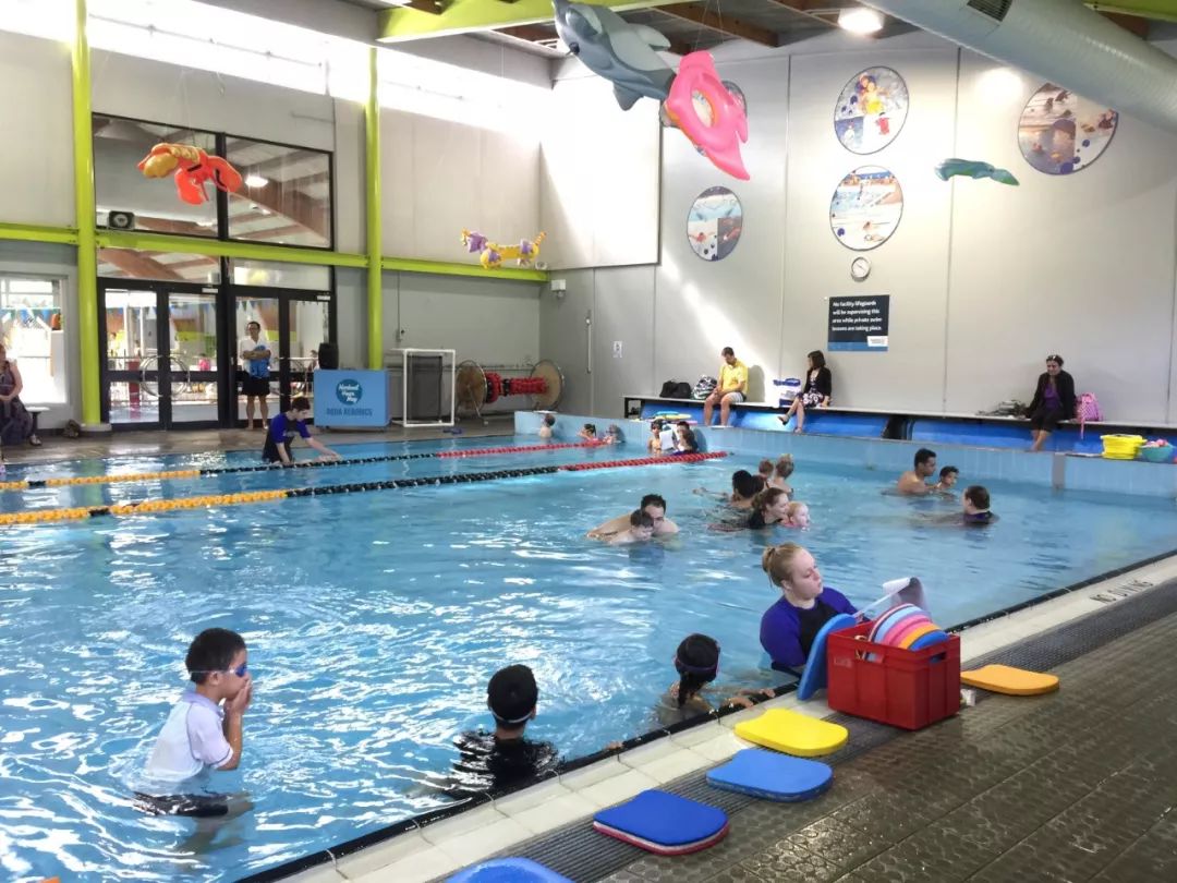 漫话新西兰,漫话新西兰漫画