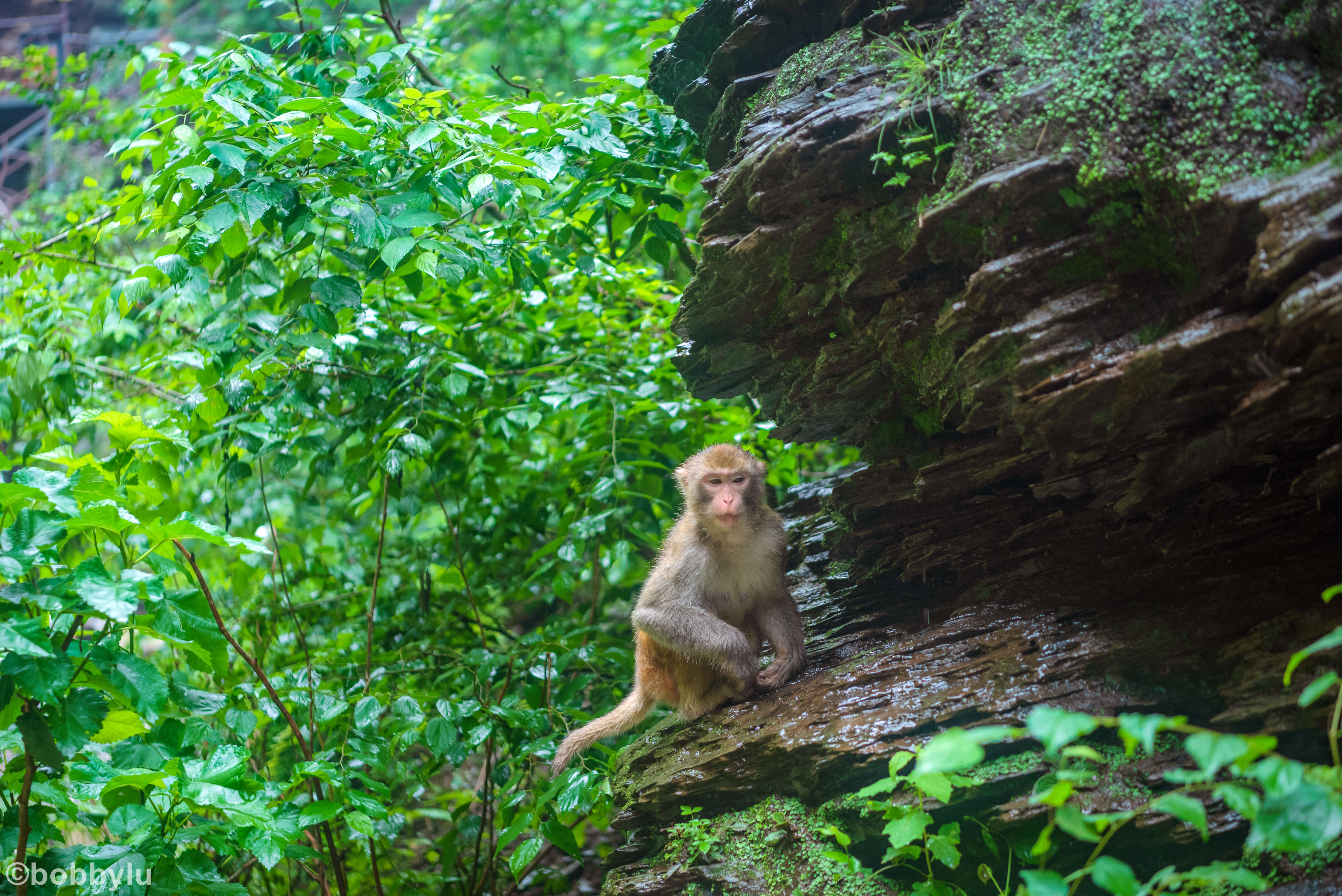 隐藏在深山里的网红景点,隐藏深山古村堪称世外桃源