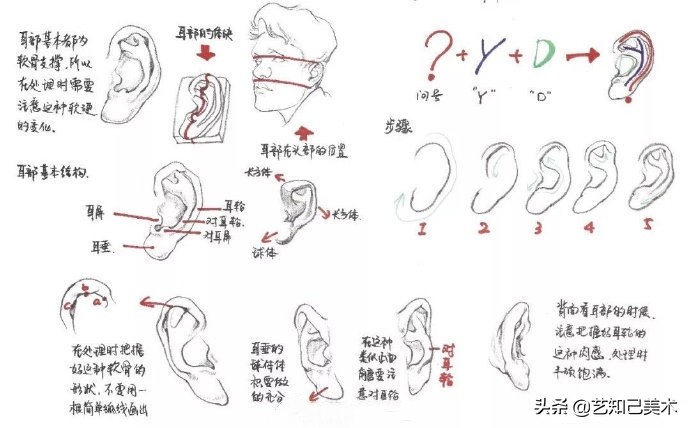 速写简单入门头部,速写头低不下去