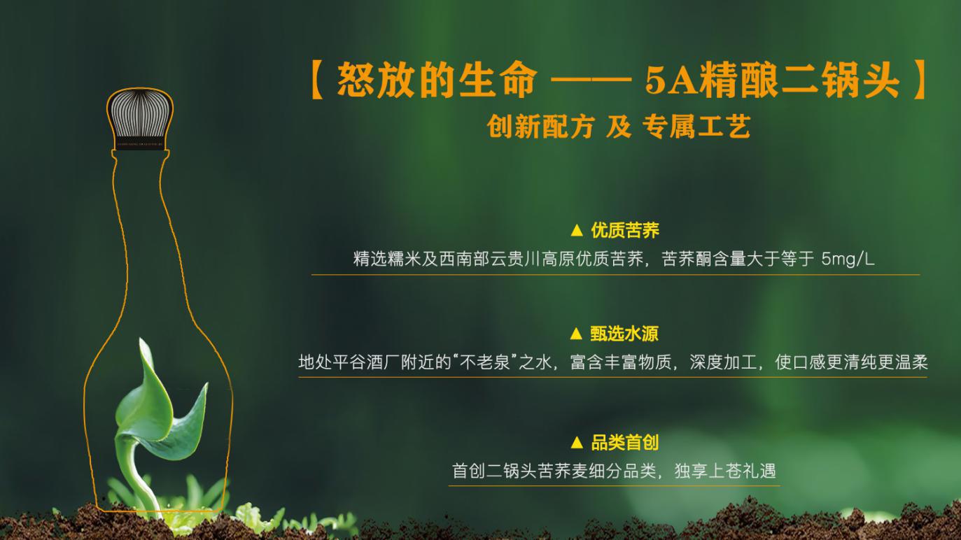 怒放的生命二锅头,5a精酿一担粮二锅头评测