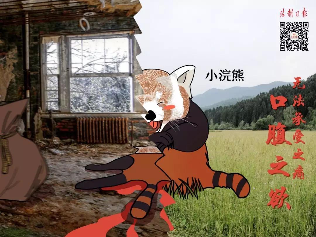 远离野味的漫画,拒绝野味漫画