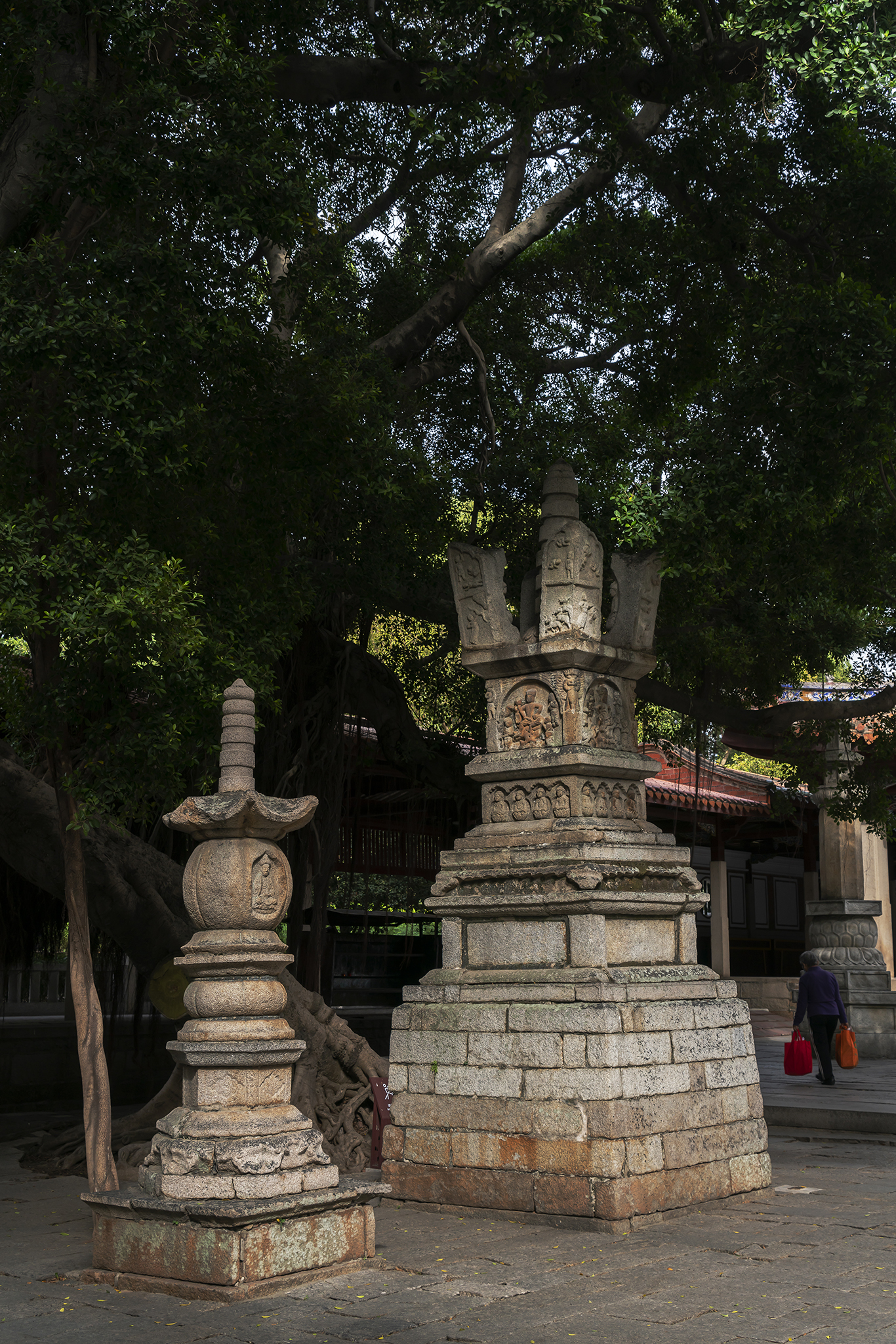 泉州开元寺游记,初冬泉州旅游攻略